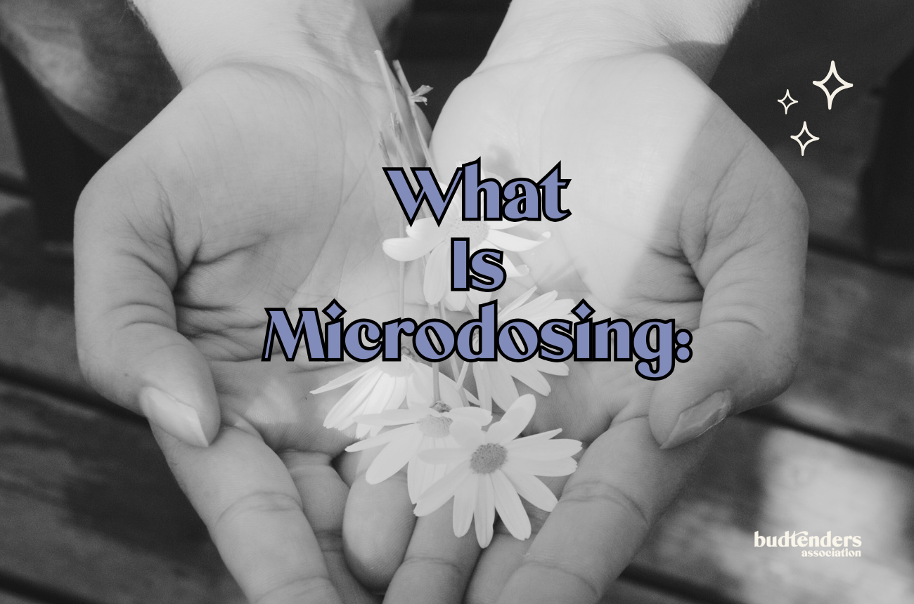 hands holding daisys in black and white. text: What is microdosing?